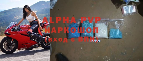 индика Баксан