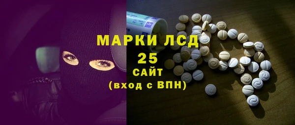 индика Баксан