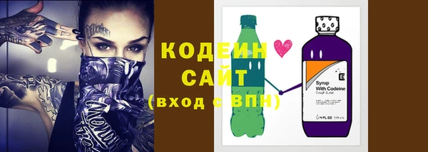 индика Баксан