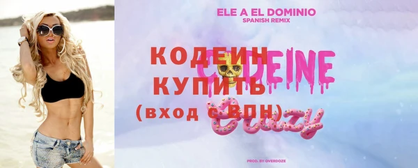индика Баксан