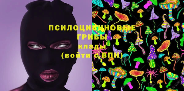 индика Баксан