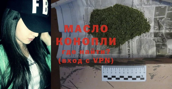 индика Баксан