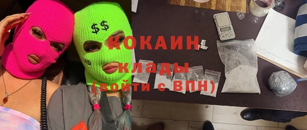 индика Баксан