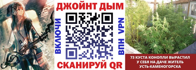 Шишки марихуана конопля Балашов